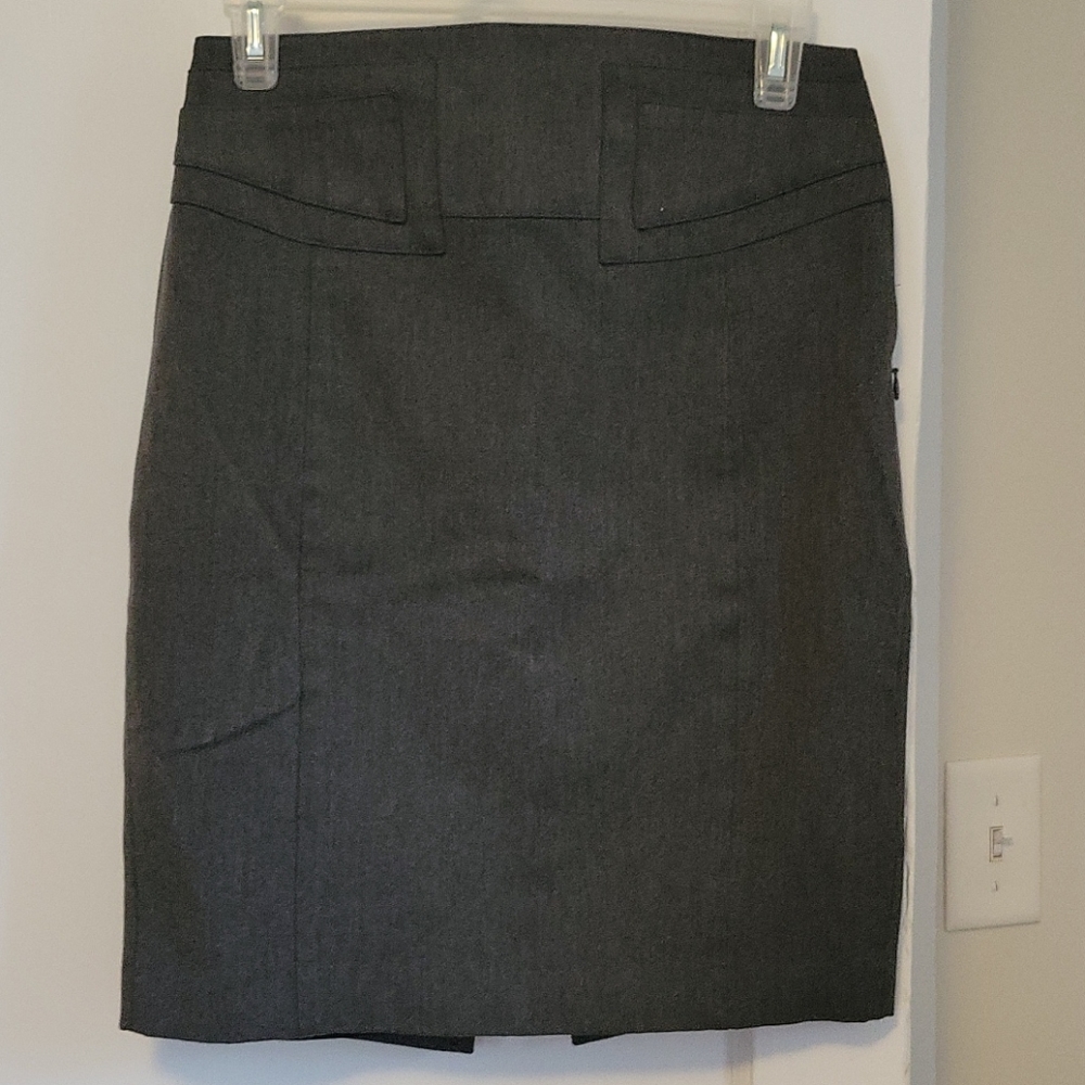 Express Pencil Skirt